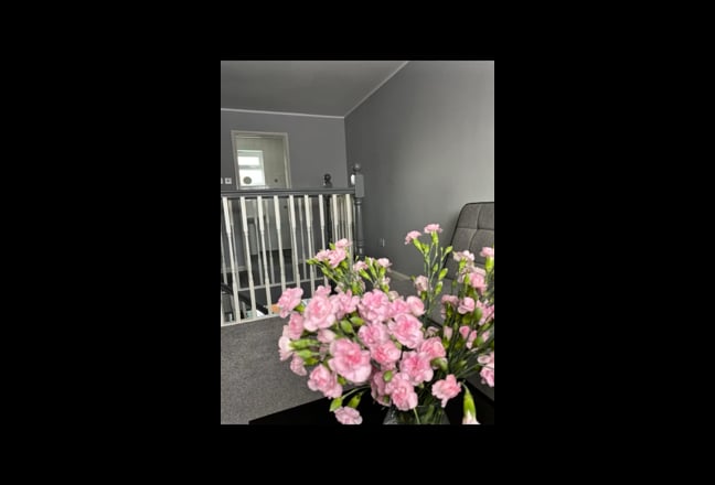 Self contained Annex, not shared with landlord  Main Photo