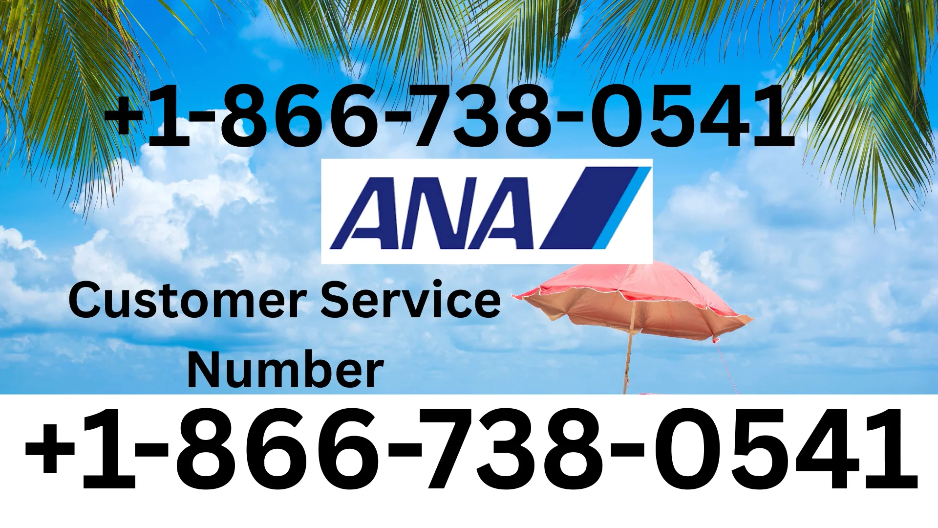 Official Guide ANA Airlines&reg; Customer Service | Step-by-Step Guide to Get Help Anytime