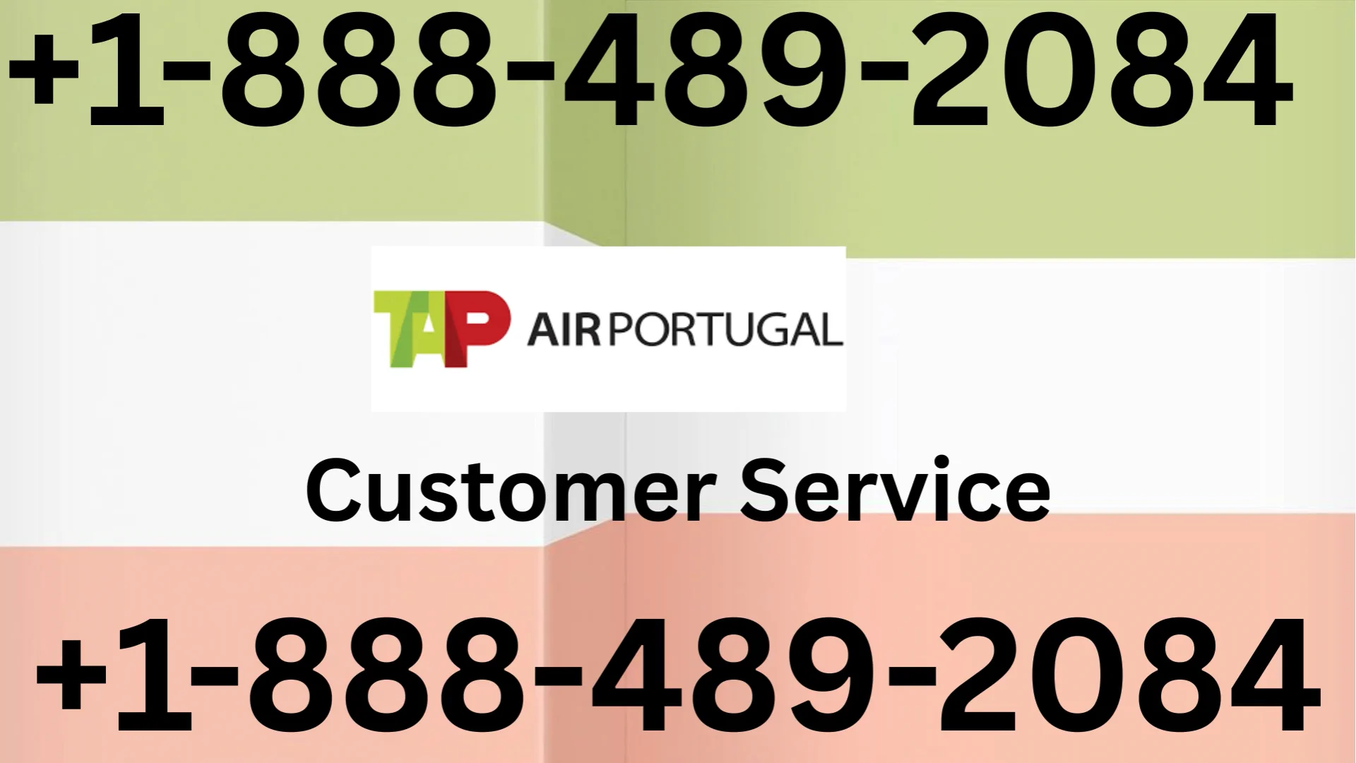 Ways to Access Tap Air Portugal CUSTOMER SERVICE via Phone, Live Chat & Email: A Step-by-Step Guide