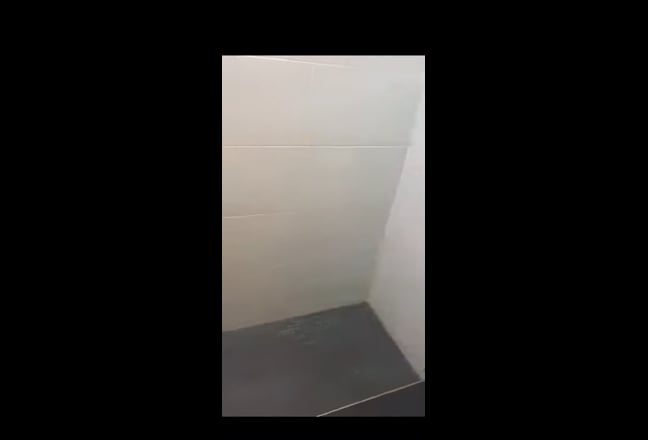 Spacious Room Available 04/04 in Midwood  Main Photo