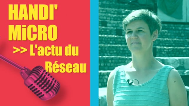 Handi-accueil du festival de jazz à Vienne