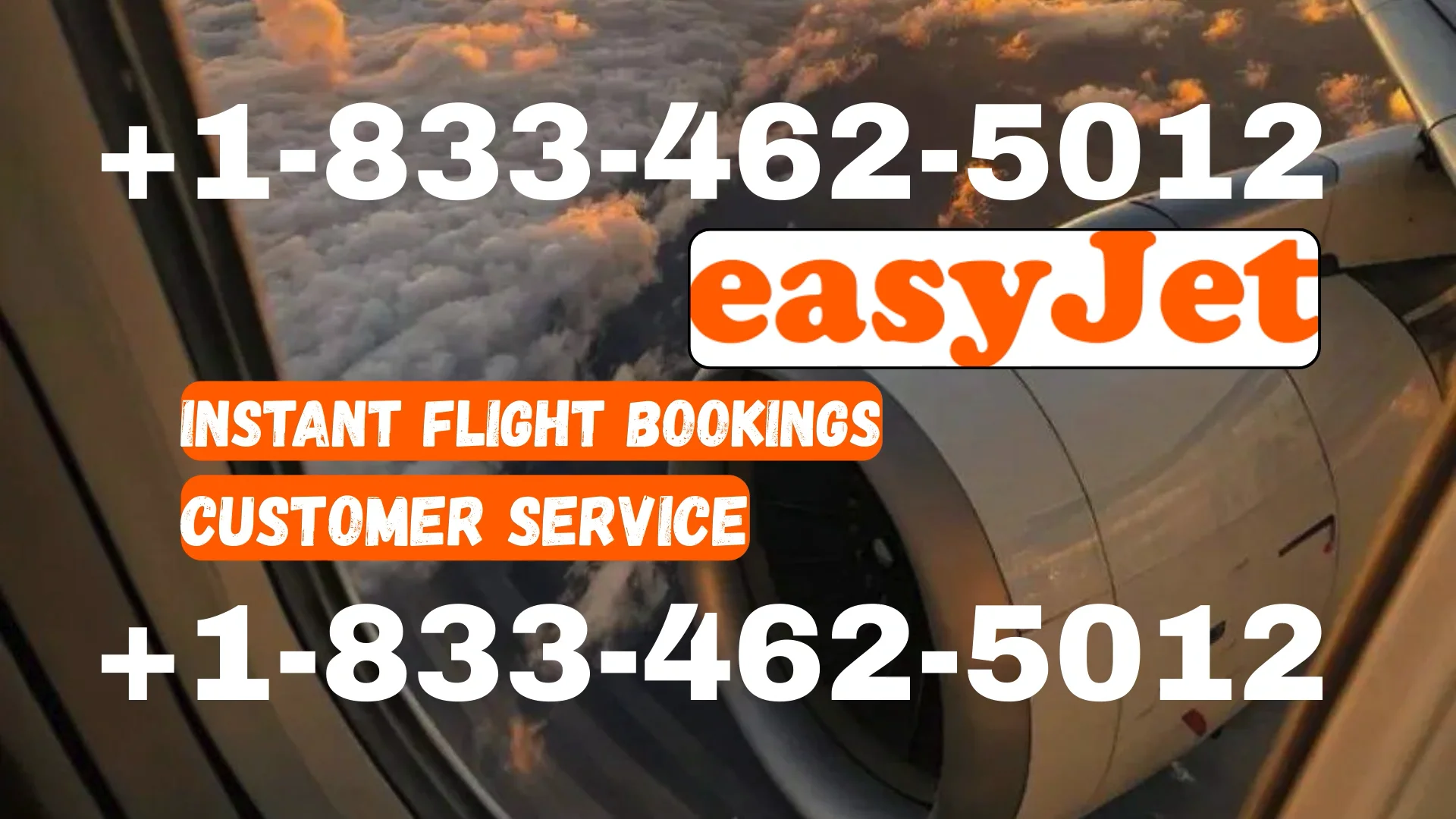 Updated Easyjet Airlines&reg; Customer Service | Detailed Guide to 24/7 Chat, Call & Email Support