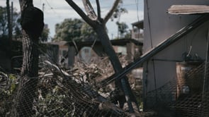 Related Embedded Video Item Thumbnail