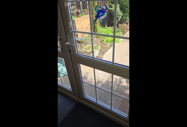 Single room in brentford  Main Photo