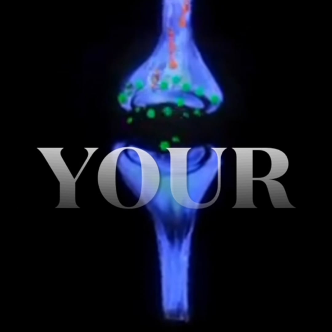https://i.vimeocdn.com/video/2135134877-60b5fc7ebd92f11a2b031dc77caeea80695303b92b223466788d9f383d0548fe-d