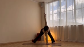 Related Embedded Video Item Thumbnail