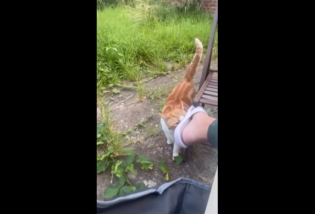 Bills included! Bright & cosy single room w/garden Main Photo