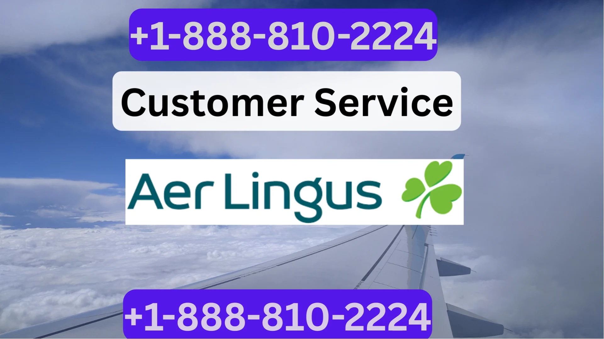 [Official] Aer Lingus Airlines Customer service Made Simple: Phone, Chat, Email & More Explained