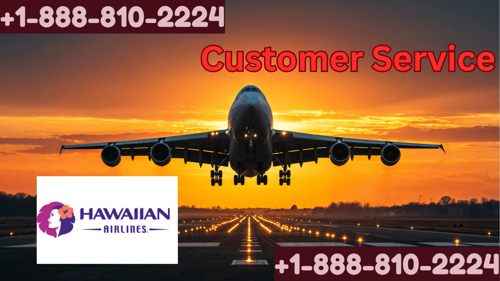 24/7 Hawaiin Airlines Full Contact Information [2026] Flight For You