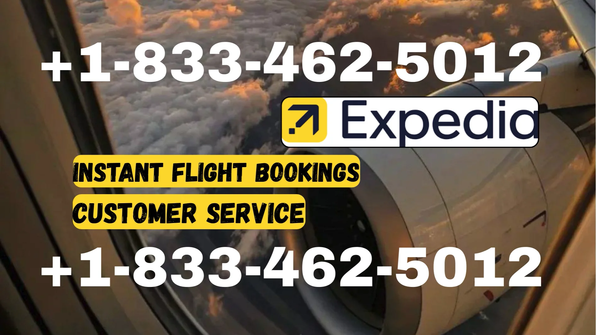 Expedia&reg; Customer Service Complete Guide = Step-by-Step Help & Support 24/7 Expedia