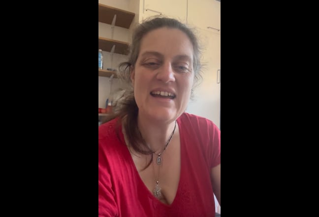 Professional Female and dog seek double room Main Photo