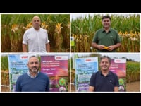 Puesta en común técnica en Sergude