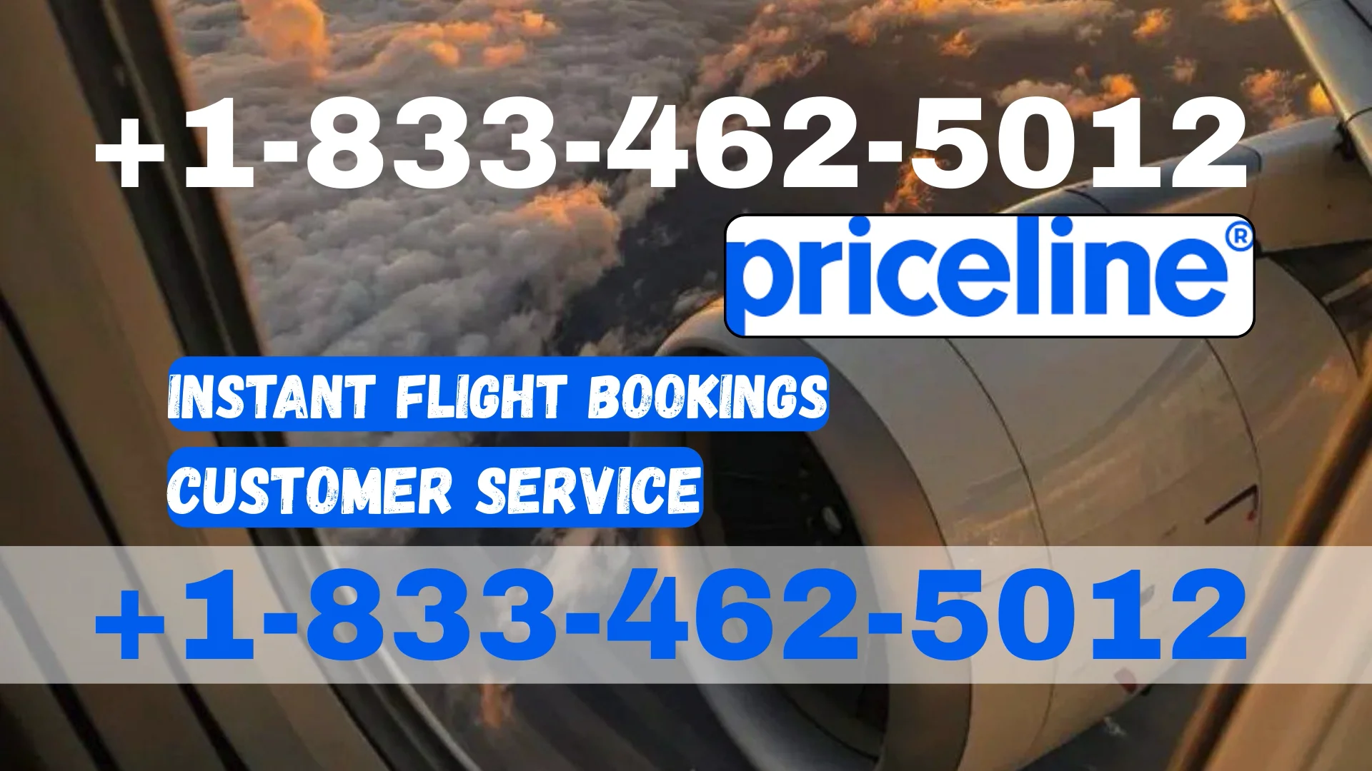 Priceline&reg; Customer Service Complete Guide = Step-by-Step Help & Support 24/7 Priceline