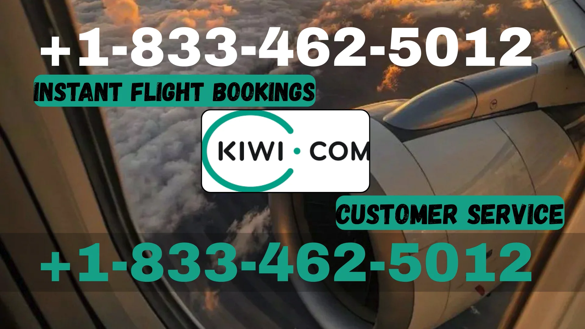 Kiwi.com&reg; Customer Service Complete Guide ➢ Step-by-Step Help & Support 24/7 Kiwi