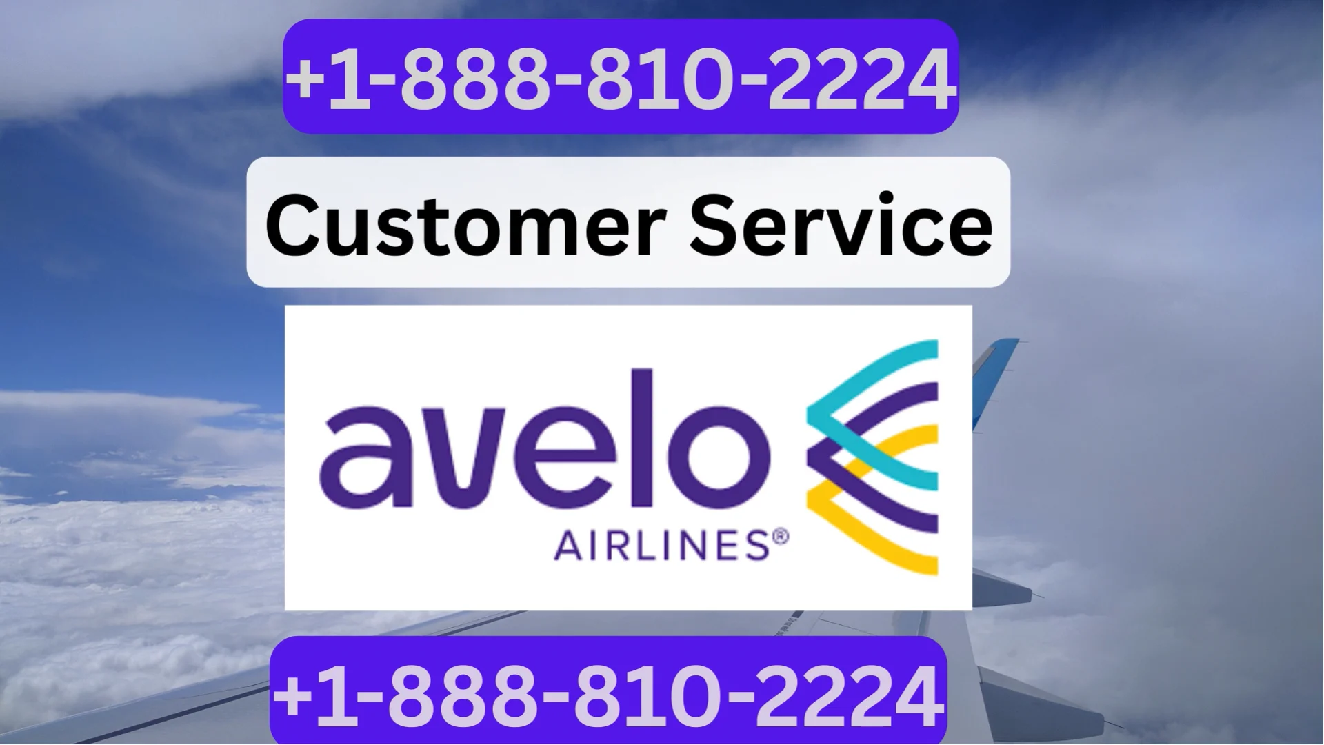 Avelo Customer Service - How To Contact Them? #Avelo