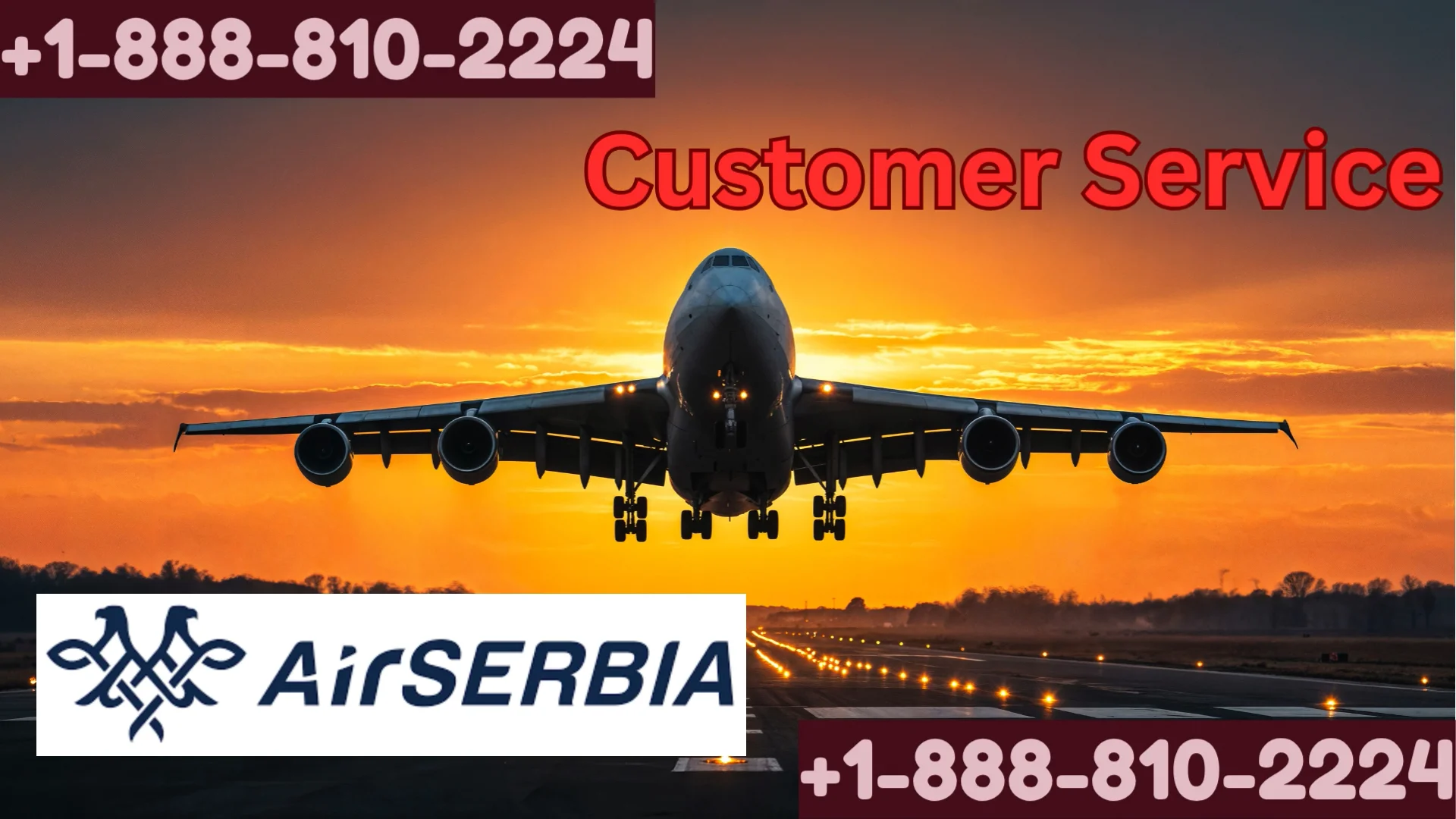 24/7 Air Serbia Full Contact Information [2026] Flight For You