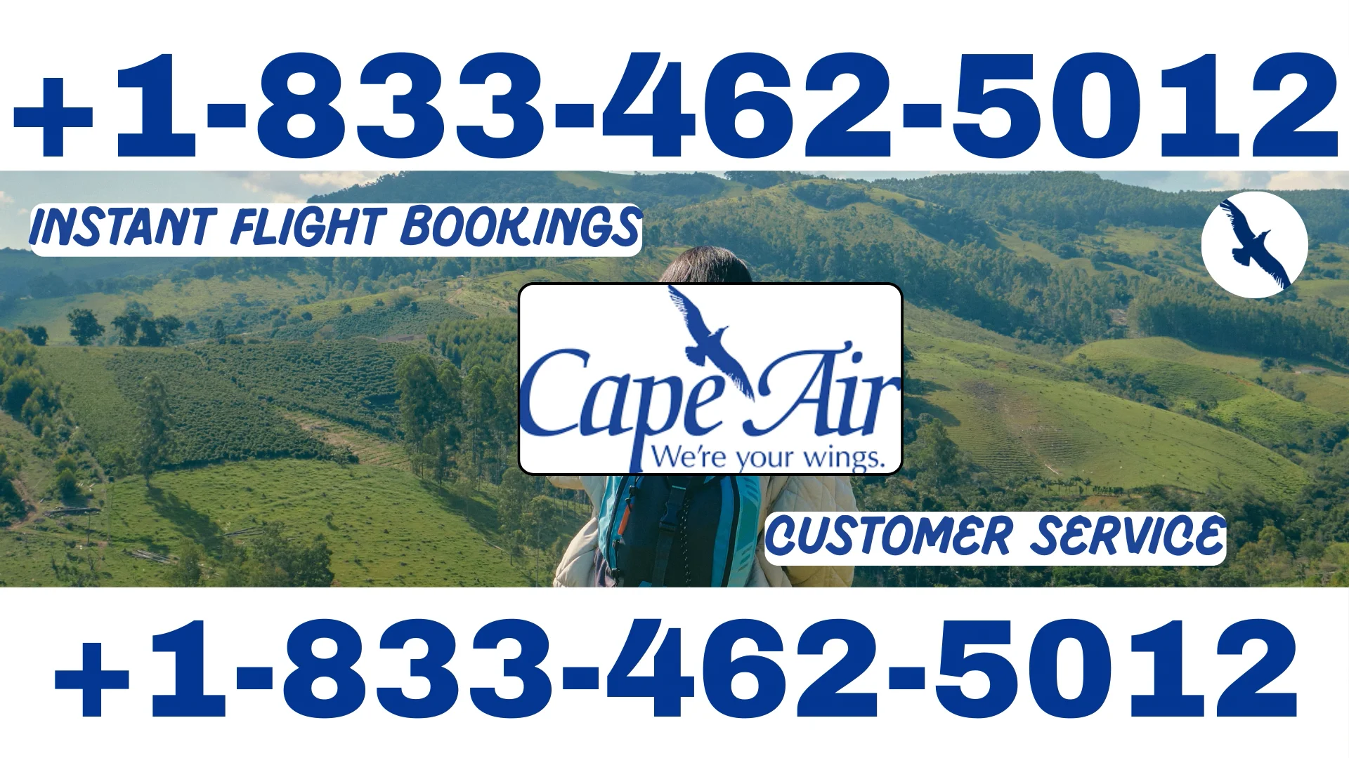 Cape Air&reg; Customer Service Complete Guide = Step-by-Step Help & Support 24/7 Cape Air