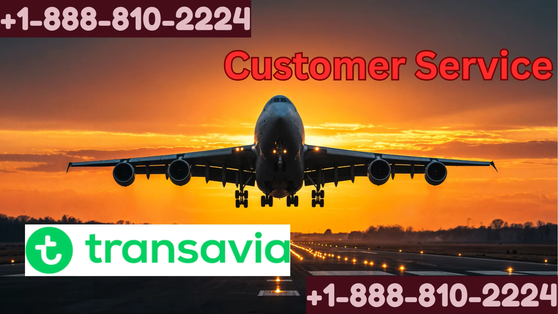 {Official} Transavia Airways&reg; Customer Service: Full 24/7 Live Person Support & Contact Guide