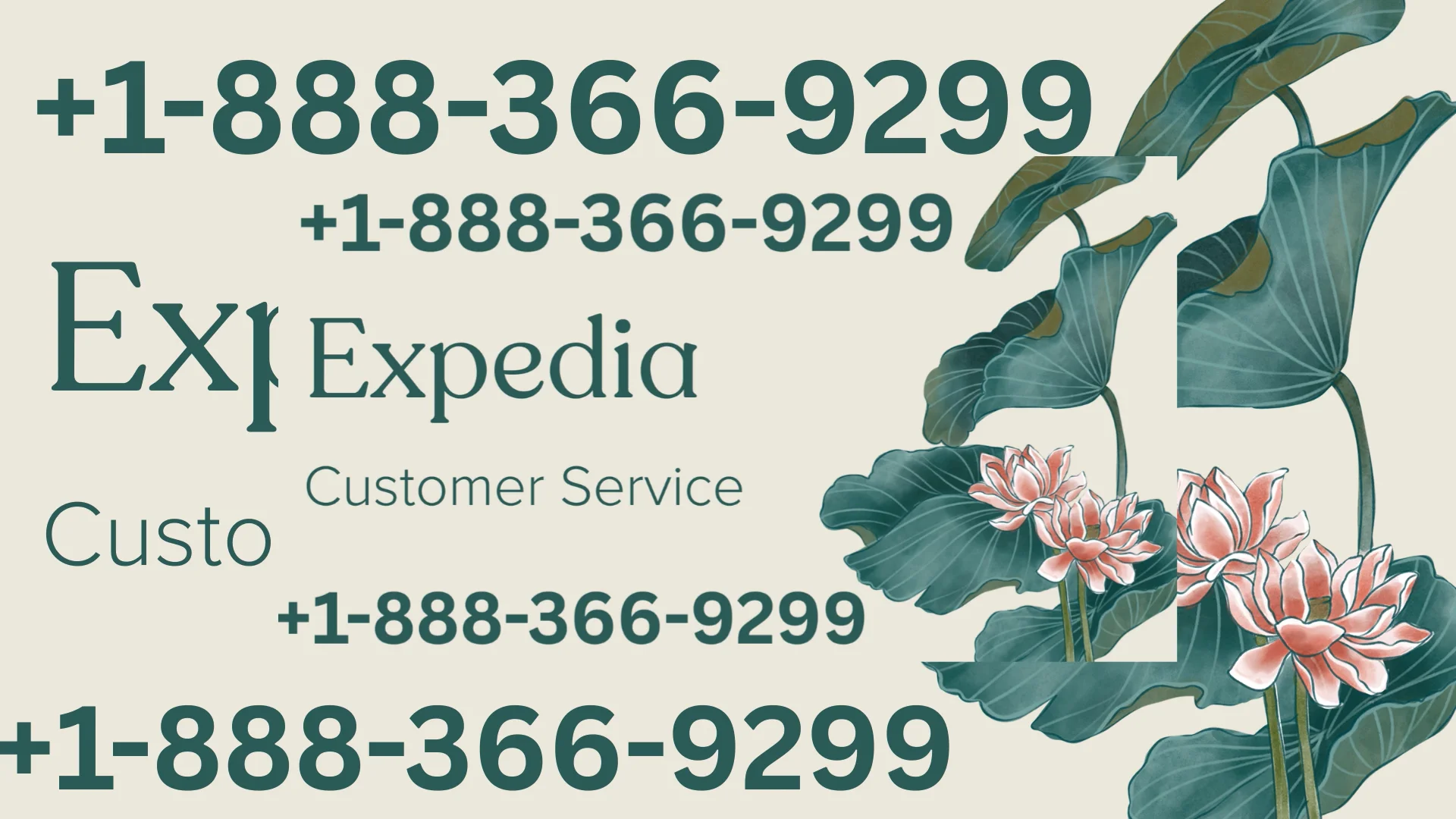 Expedia&reg; Customer Service Complete Guide = Step-by-Step Help & Support 24/7 Expedia