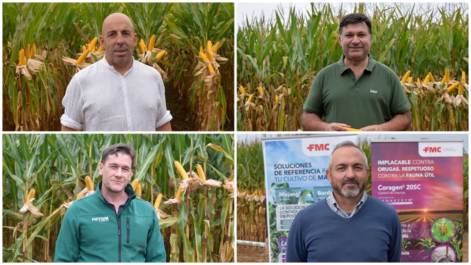 Coluga afina la siembra de maíz 2026 en Sergude