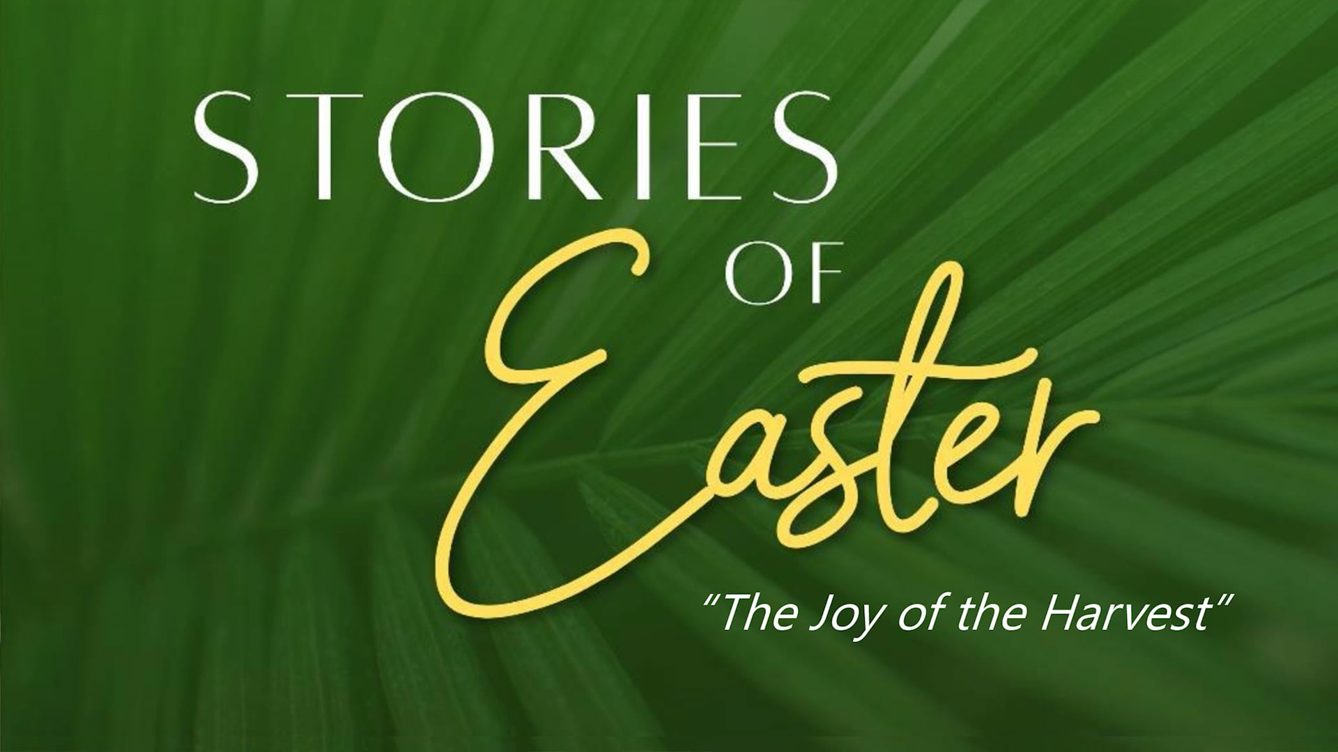The Joy of the Harvest | March 15, 2026