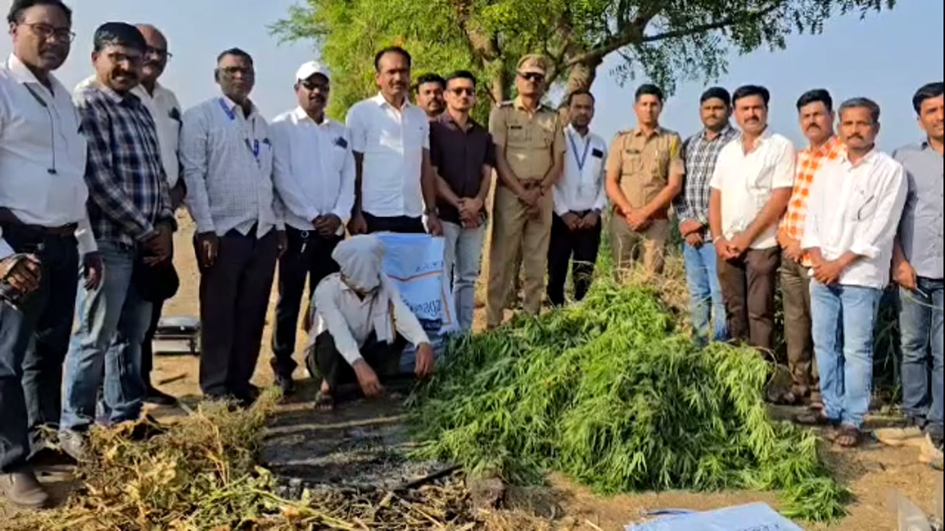 स्थानिक गुन्हे शाखेच्या कारवाईत 5 लाख 22 हजारांचा गांजा जप्त