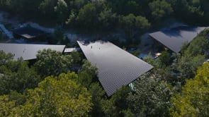 Falling Leaves Aerial Footage