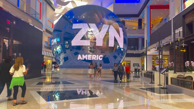 ZYN Globe