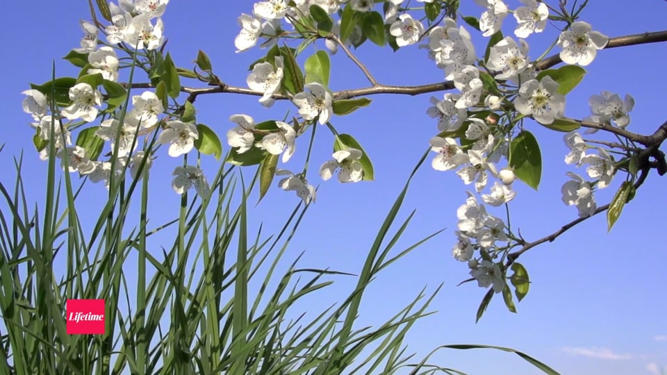 Digital Spring Cleaning