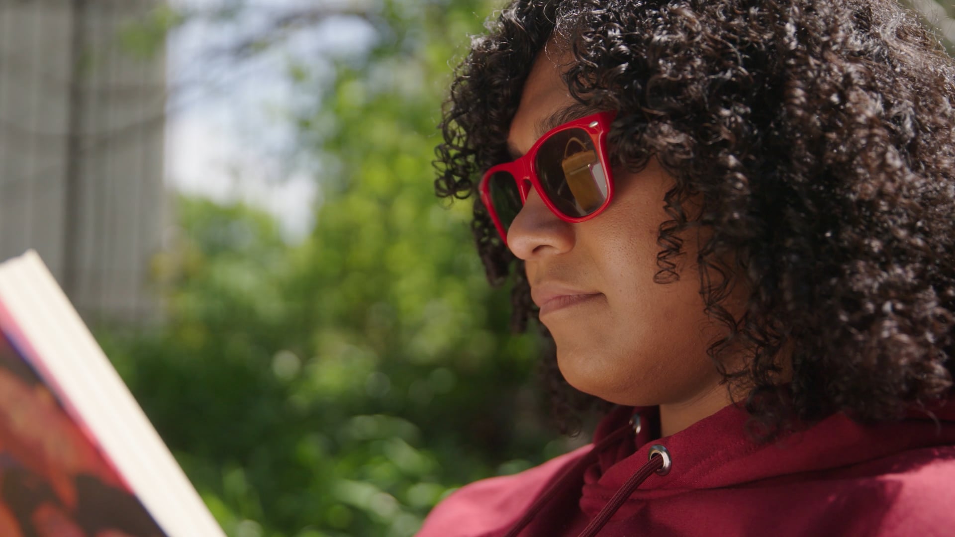 The Boulevard / Motion Source Inc.