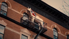 Related Embedded Video Item Thumbnail