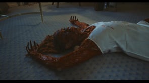 Related Embedded Video Item Thumbnail