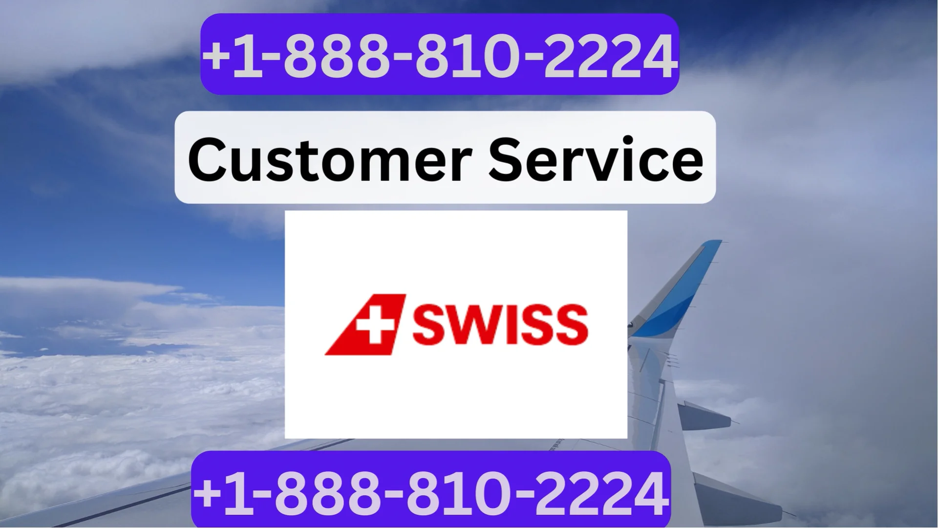 Swiss&reg; Customer Service Complete Guide ➢ Step-by-Step Help & Support 24/7 Swiss