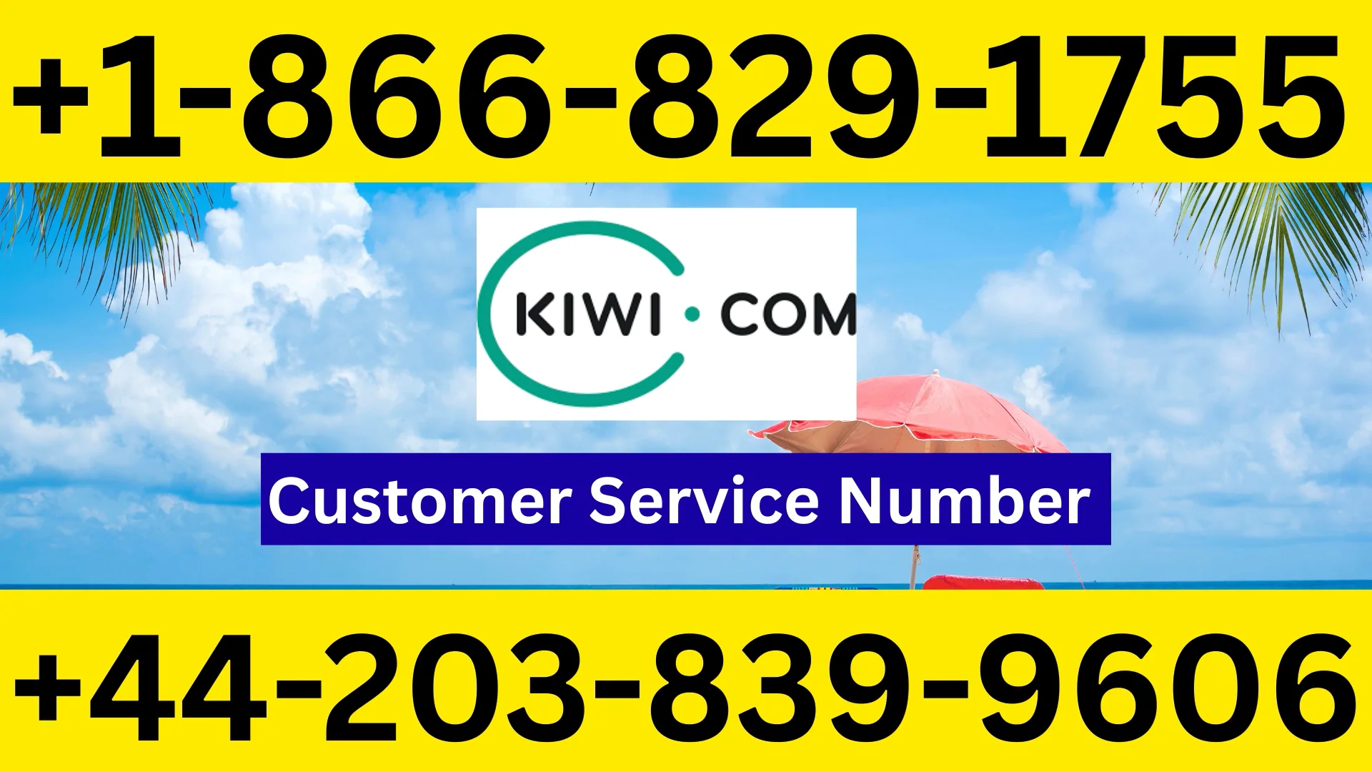 How Do I Contact Kiwi.com&reg;&reg;? | Official 24-7 Support Center