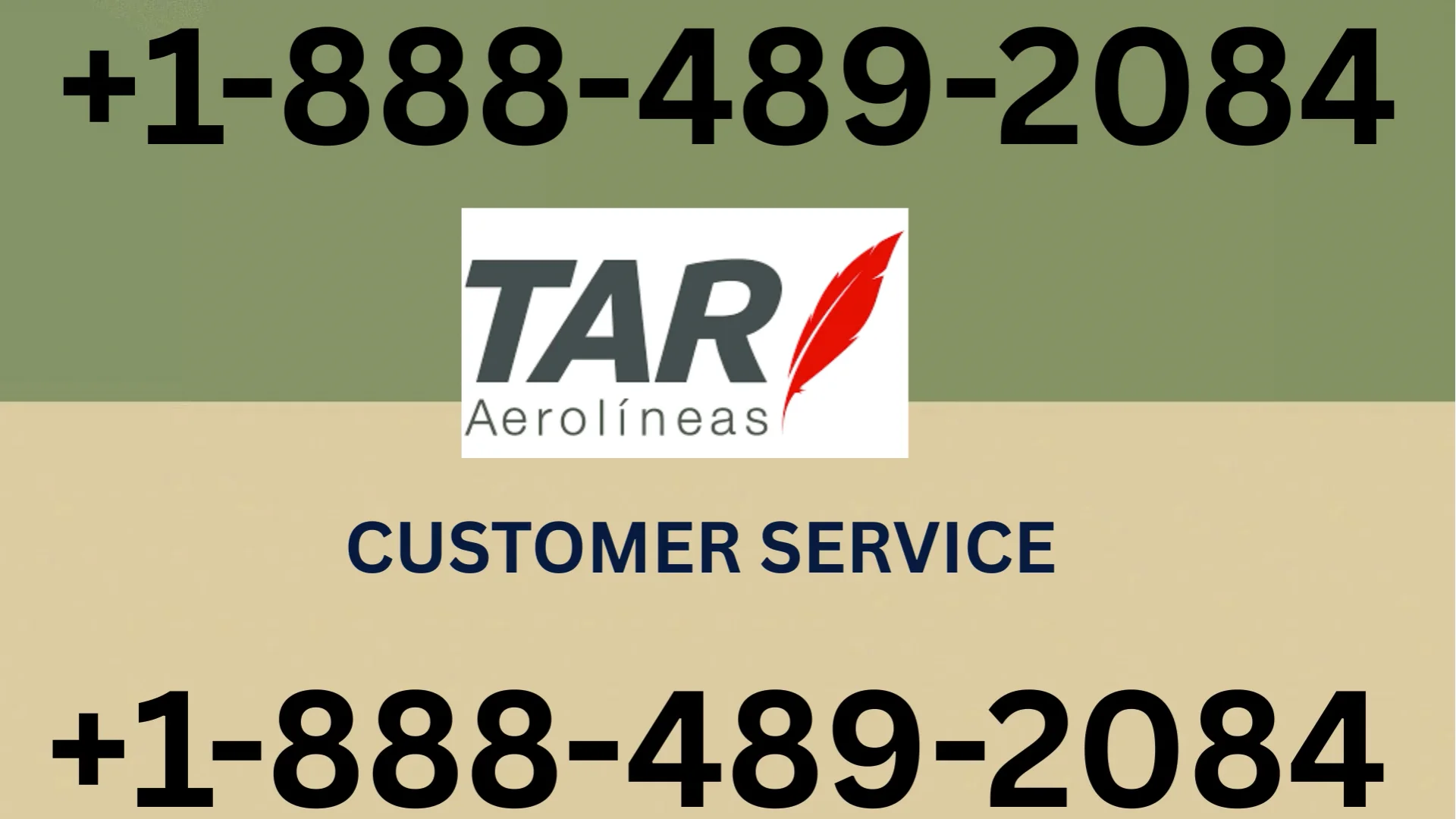 21+ Ways to Access Tar Aerolineas&reg; Customer Service By Phone, chat and Support 24/7