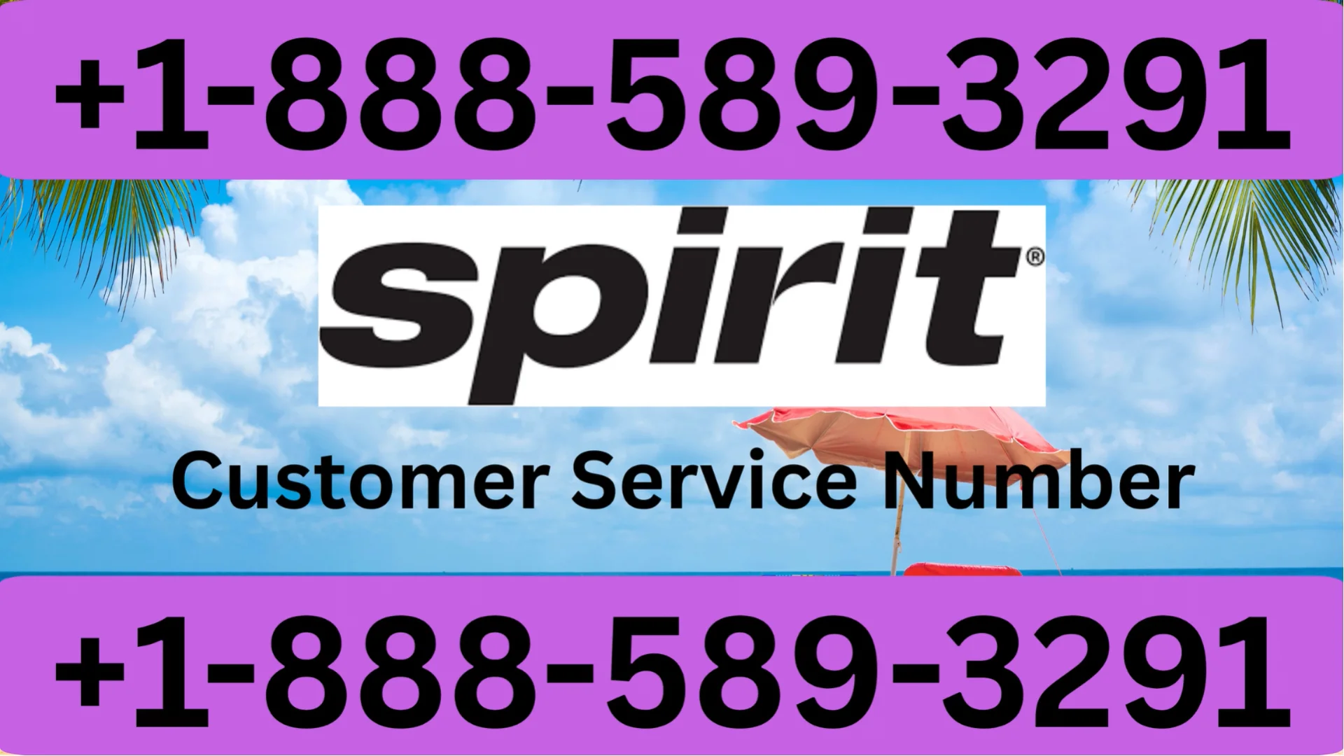 Spirit Airlines&reg;&reg; Customer Service Contact Guide || Official 24-7 Support
