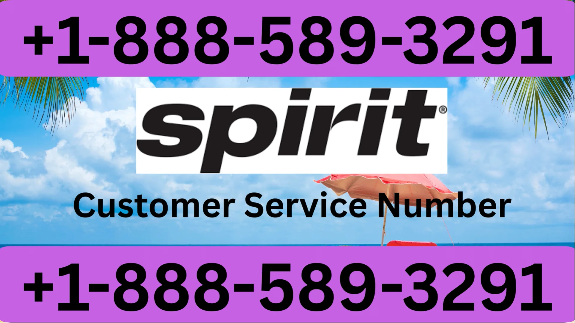 21+ Ways to Access Spirit Airlines&reg; Customer Service By Phone, chat and Support 24/7