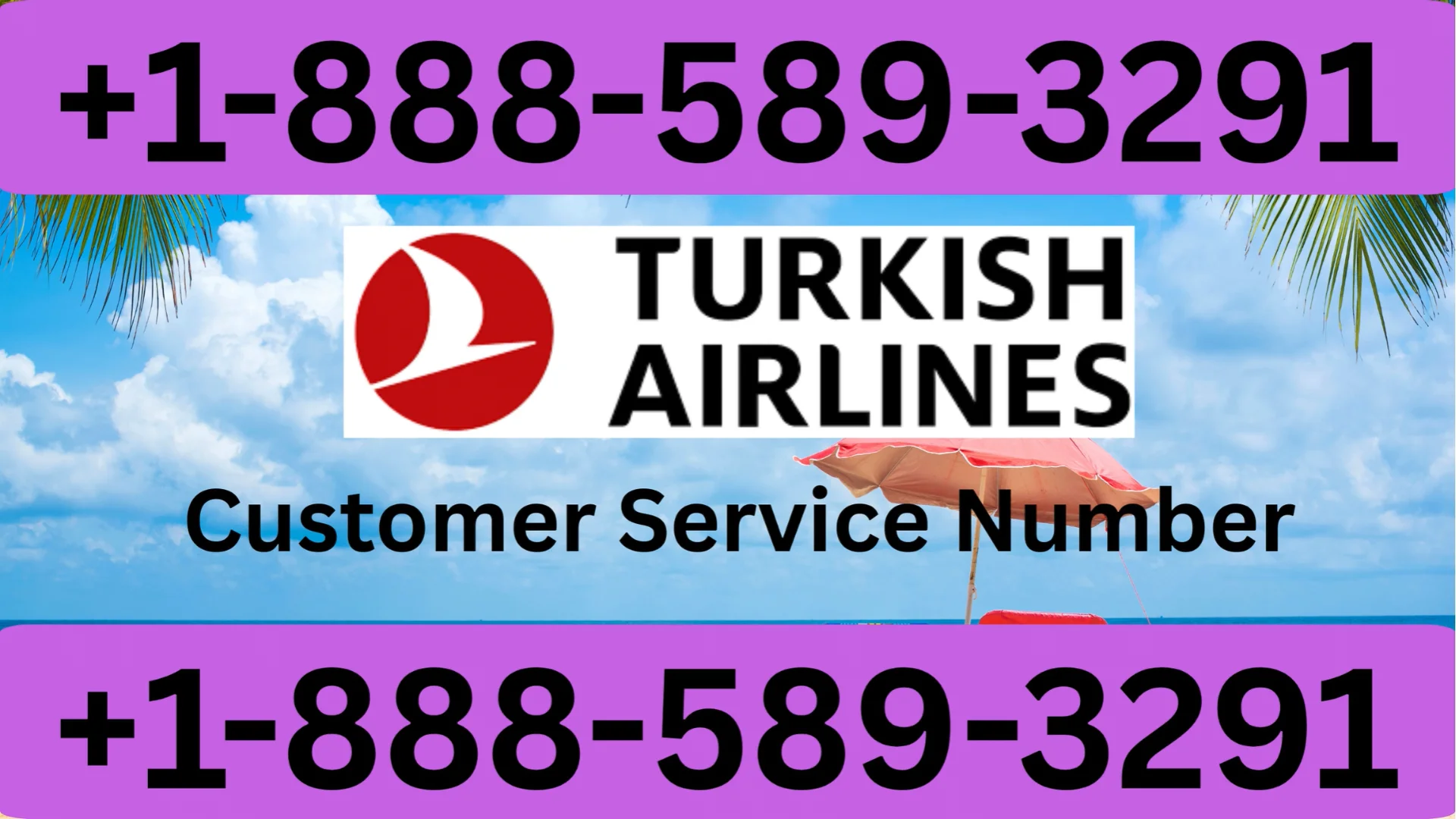 How to Reach Turkish Airlines&reg;&reg; Customer Service | Official 24/7 Help Guide