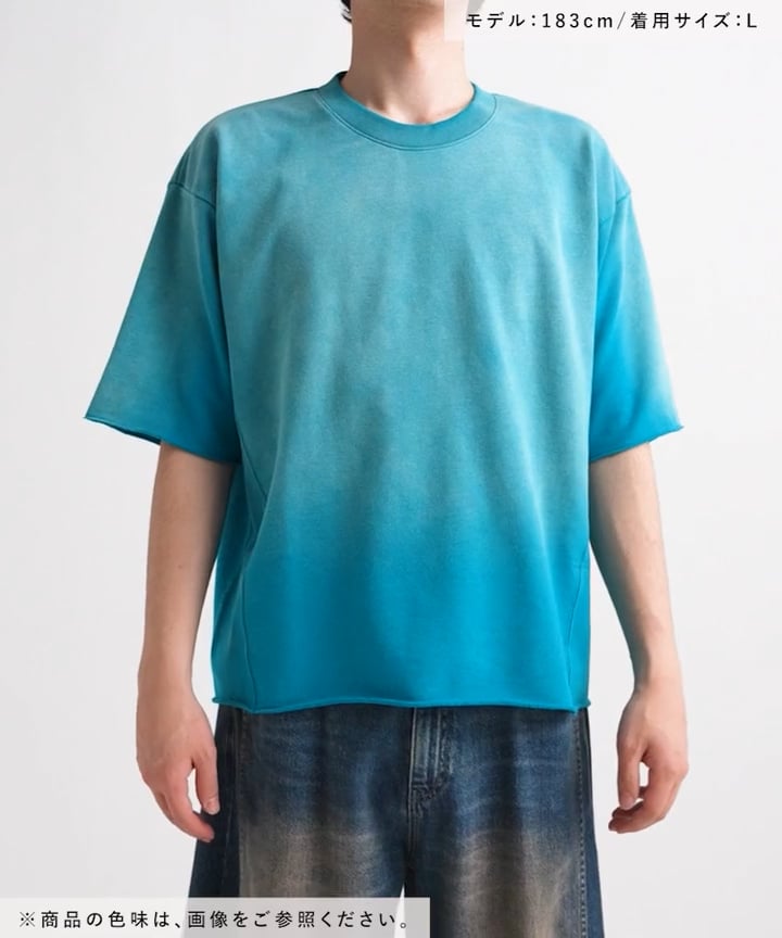 ピグメント加工/クロップドTシャツ | [公式]レイジブルー（RAGEBLUE）通販