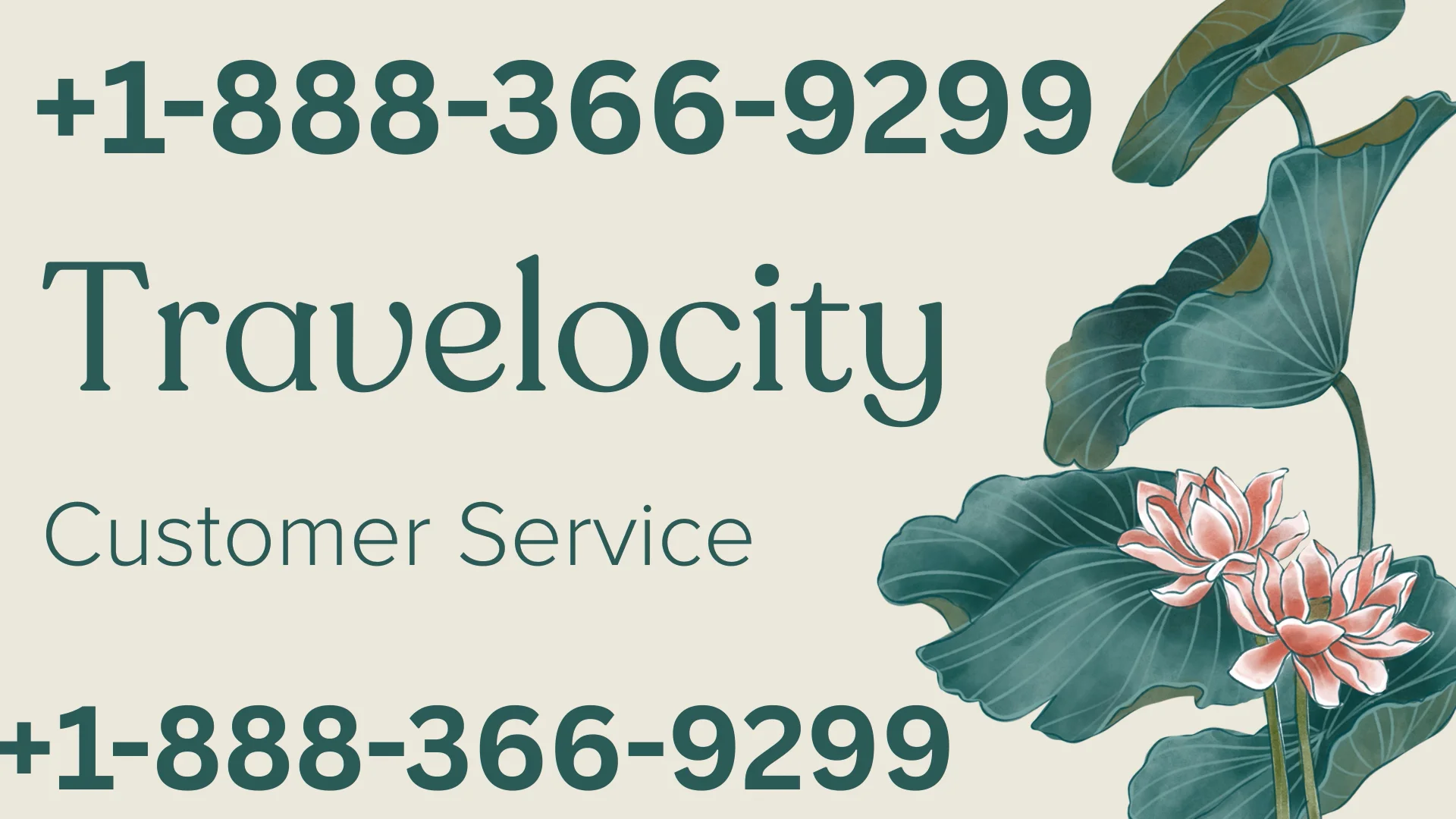 Travelocity&reg; Customer Service Complete Guide = Step-by-Step Help & Support 24/7 Travelocity