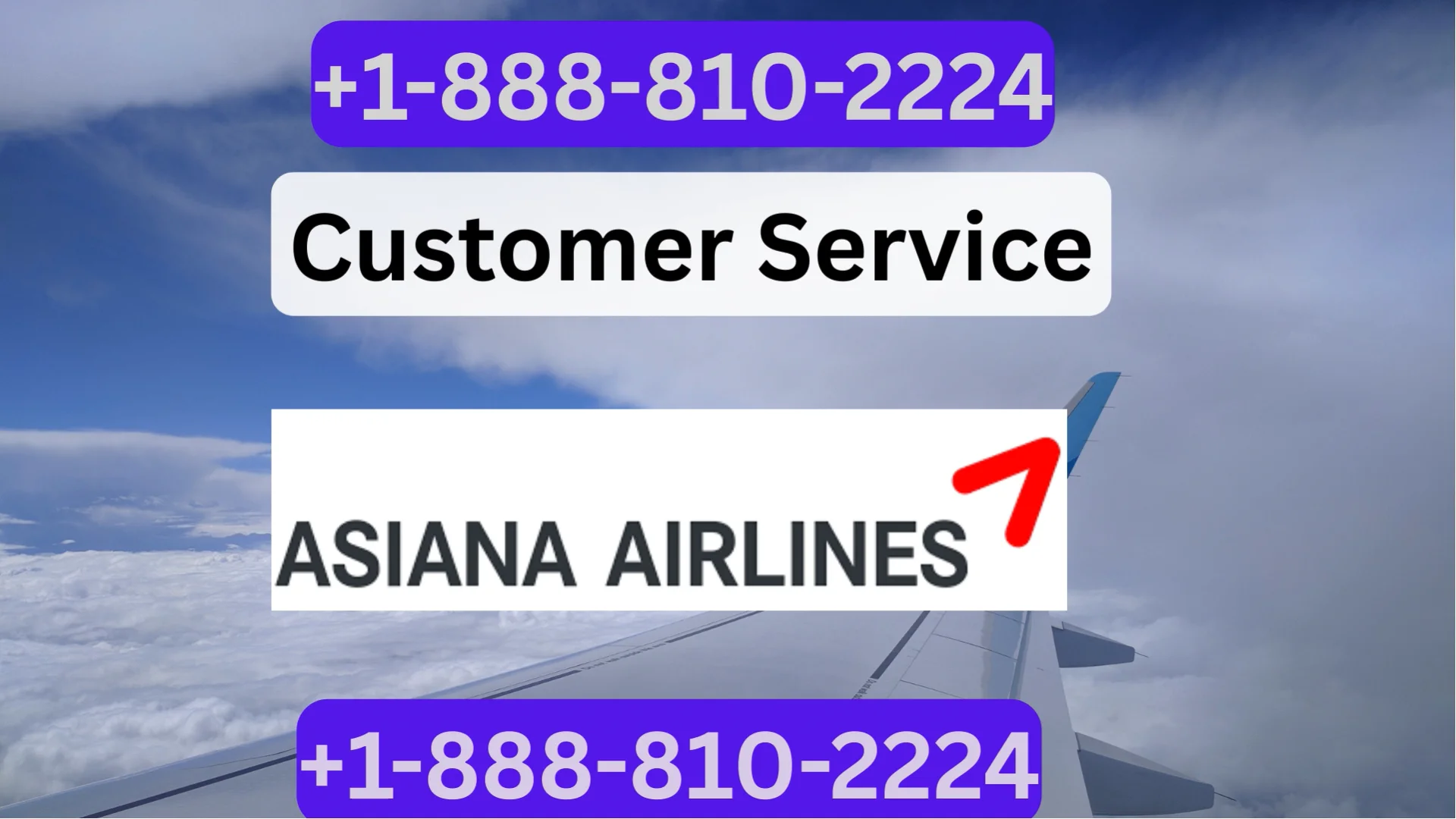 [Official] Asiana Customer service Made Simple: Phone, Chat, Email & More Explained