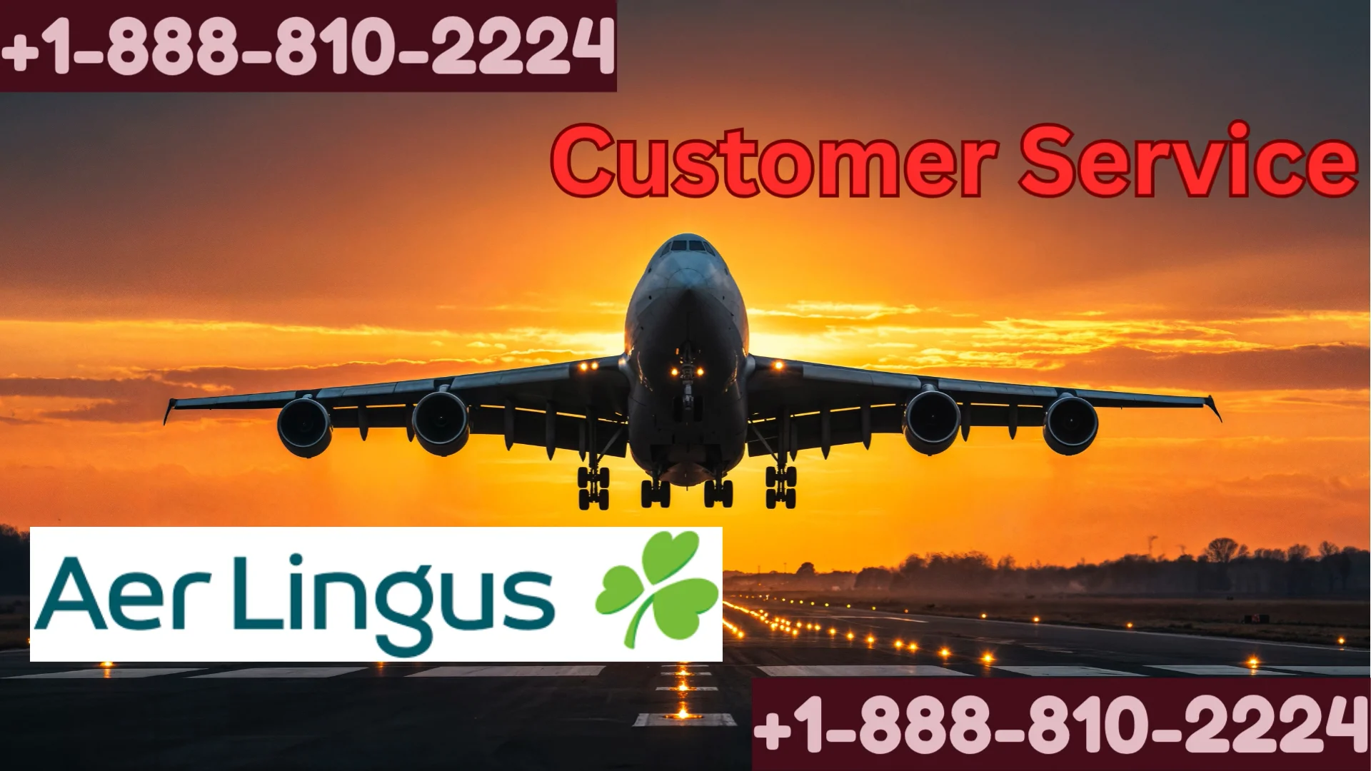 Aer Lingus Airlines&trade; Customer Service Official Guide - Step-by-Step Help & Support Aer Lingus Airlines&trade;
