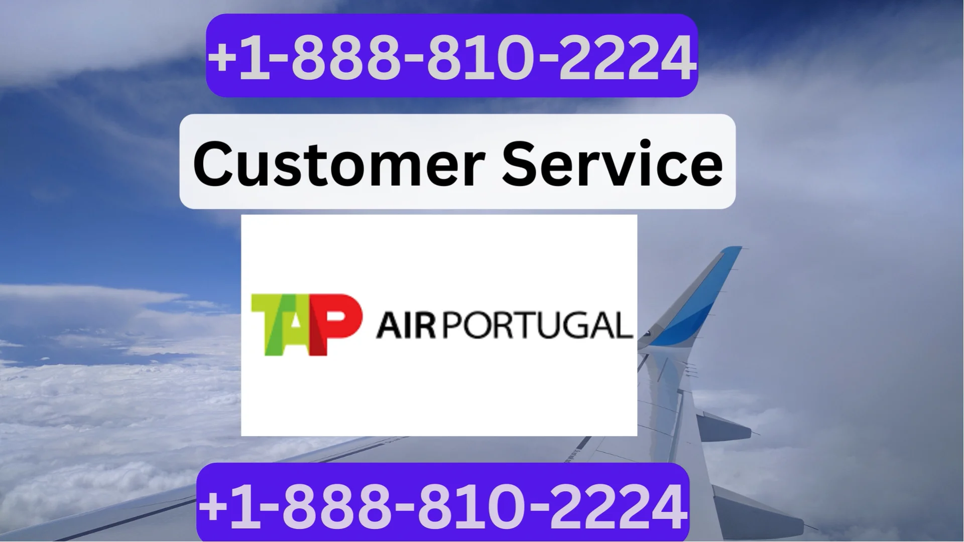 Tap Air Portugal &trade; Customer Service Official Guide || Step-by-Step Help & Support Tap Air Portugal