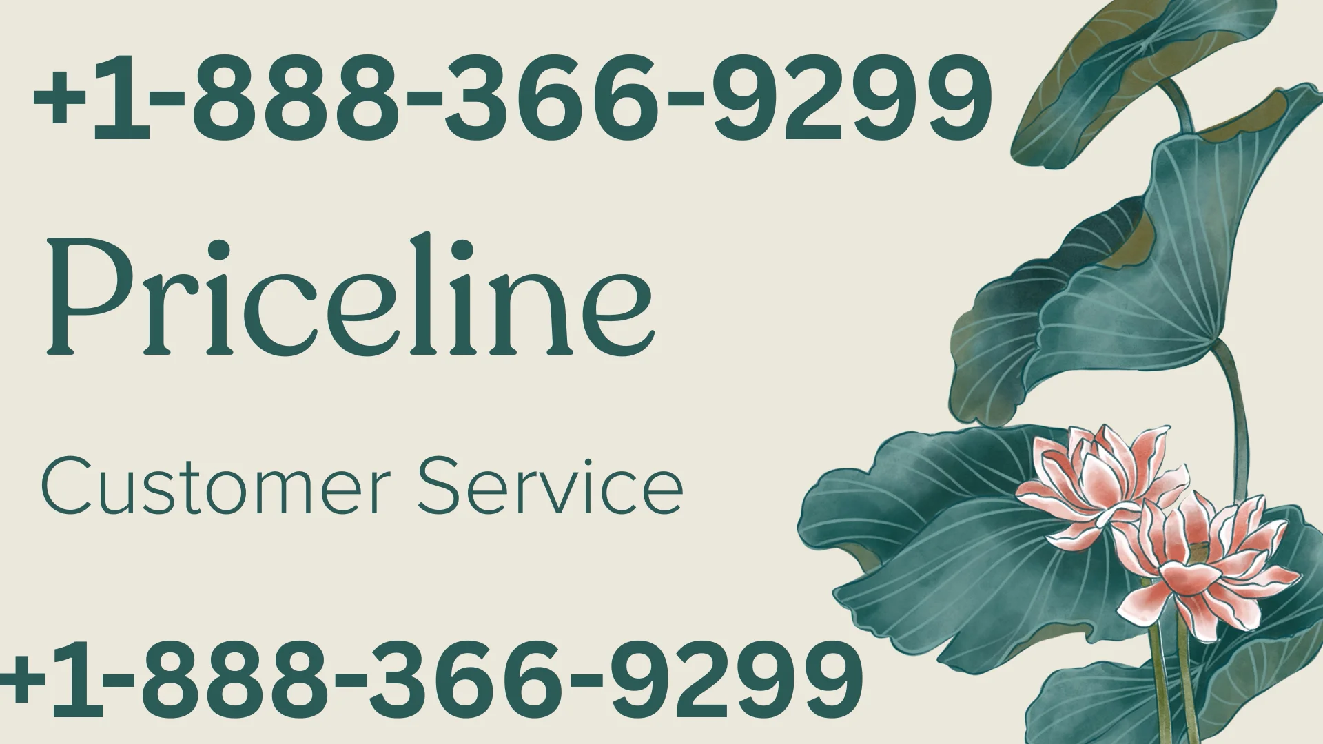 Priceline &reg; Customer Service Complete Guide ➢ Step-by-Step Help & Support 24/7 Priceline