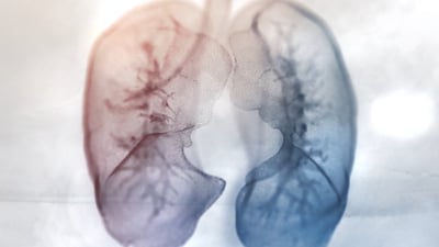 Atmen: Breathe Your Life