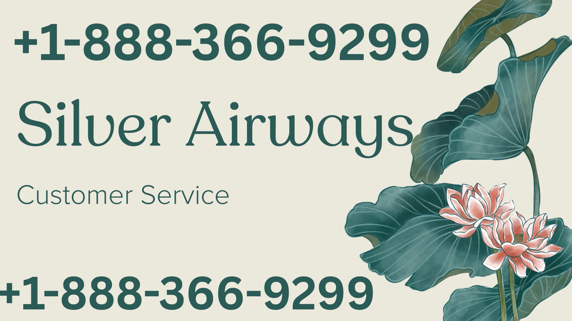 Silver Airways &reg; Customer Service Complete Guide = Step-by-Step Help & Support 24/7 Silver Airways