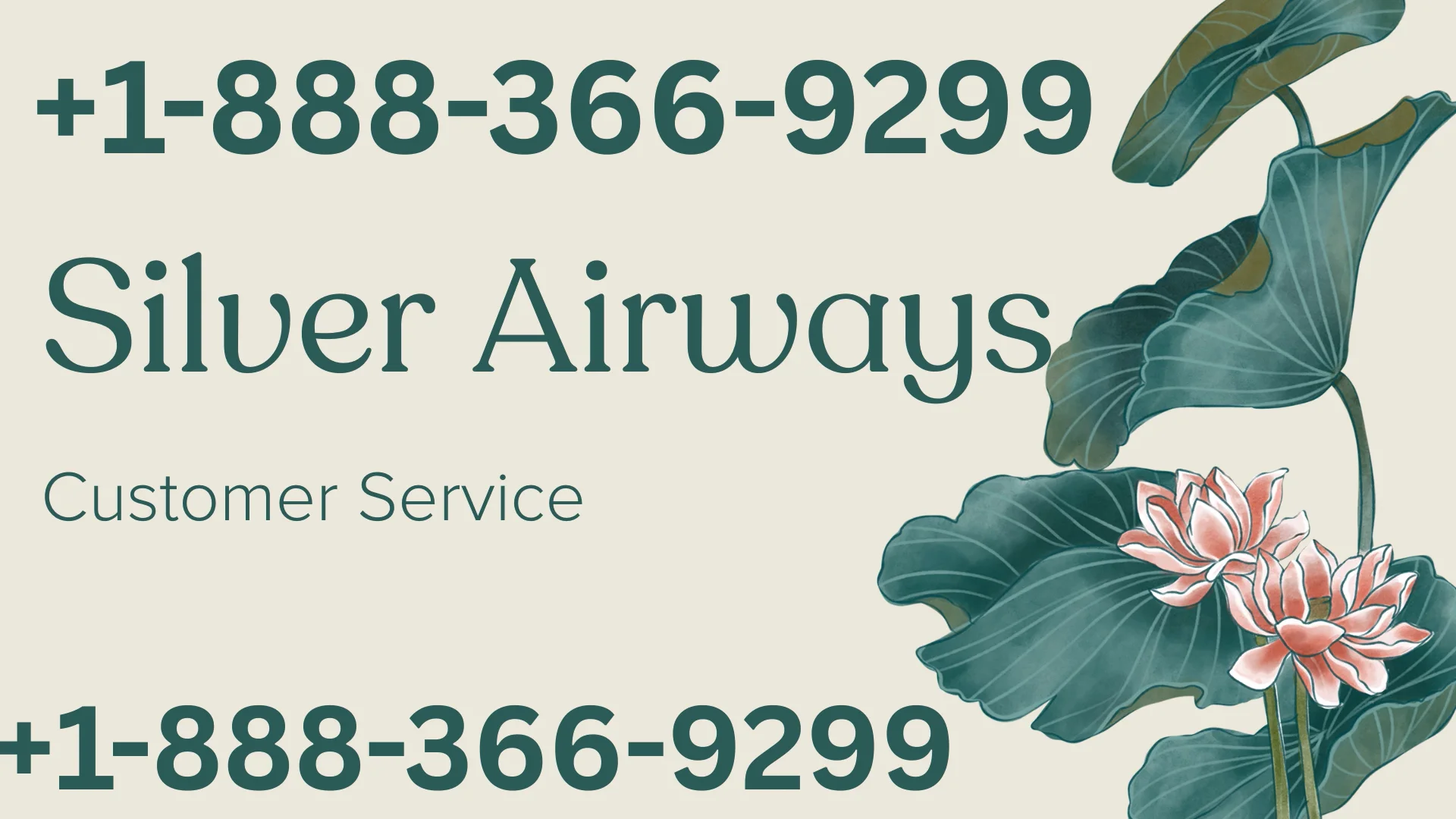 Silver Airways &reg; Customer Service Complete Guide ➢ Step-by-Step Help & Support 24/7 Silver Airways