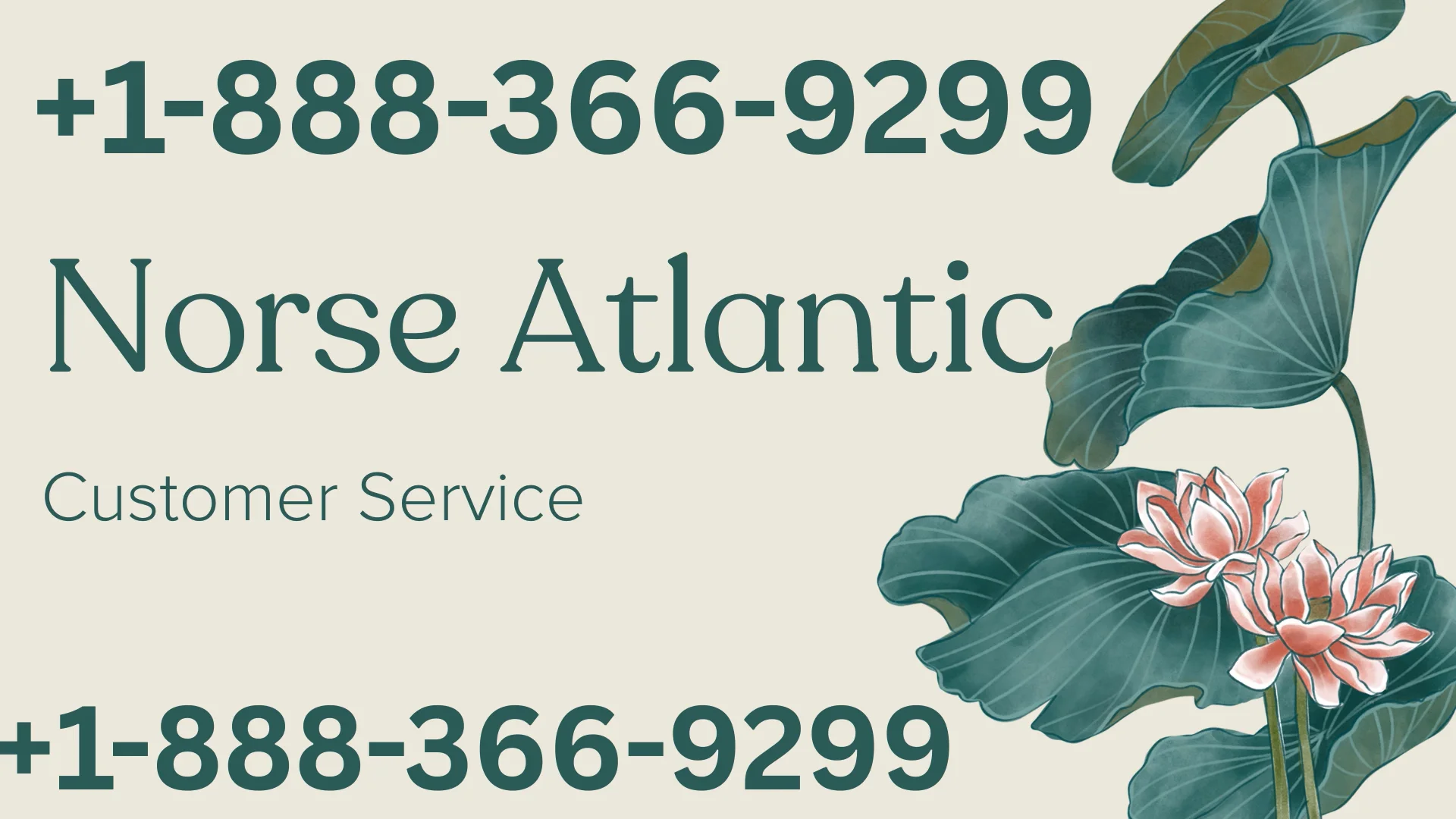 Norse Atlantic Airways &reg; Customer Service Complete Guide ➢ Step-by-Step Help & Support 24/7 Norse Atlantic Airways