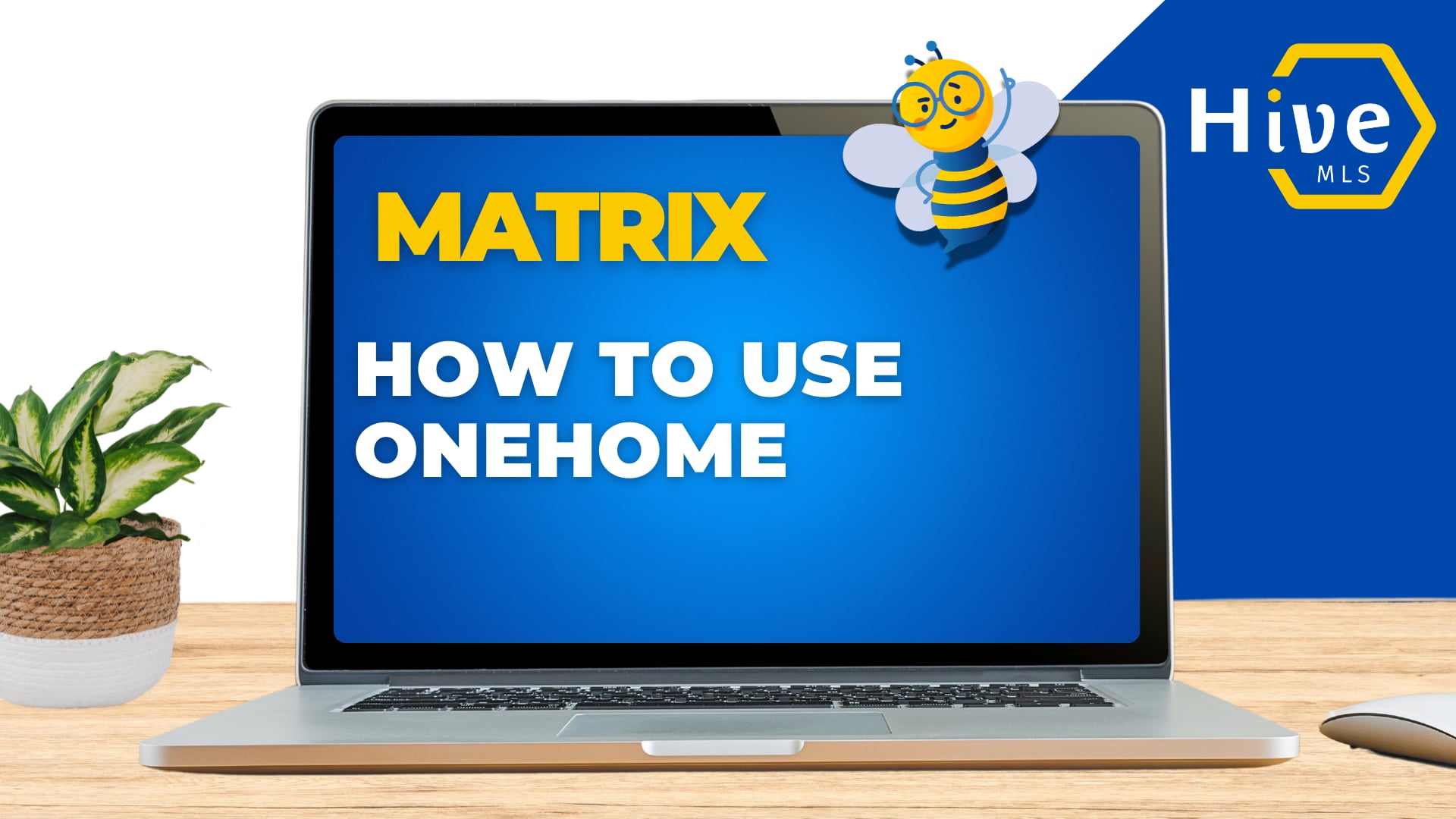 How to use OneHome
