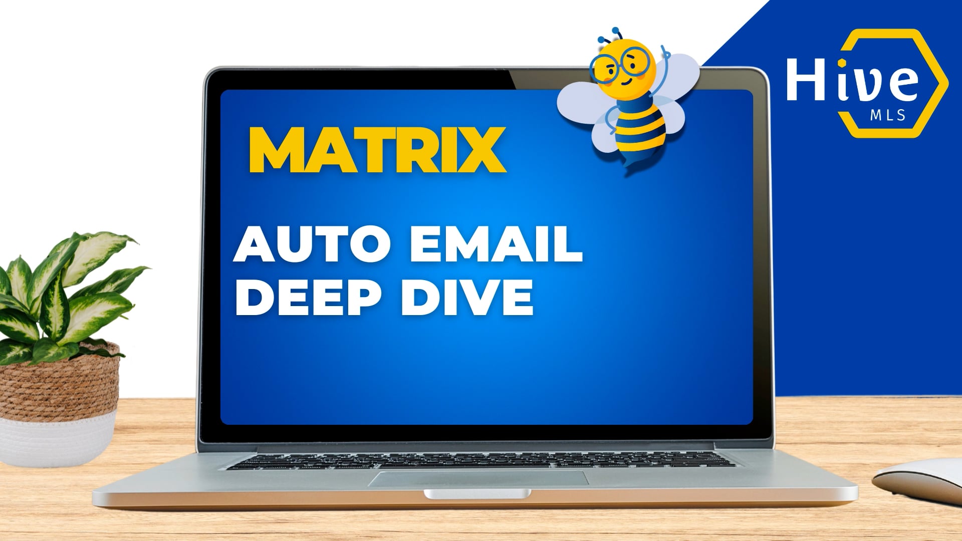 Auto Email Deep Dive